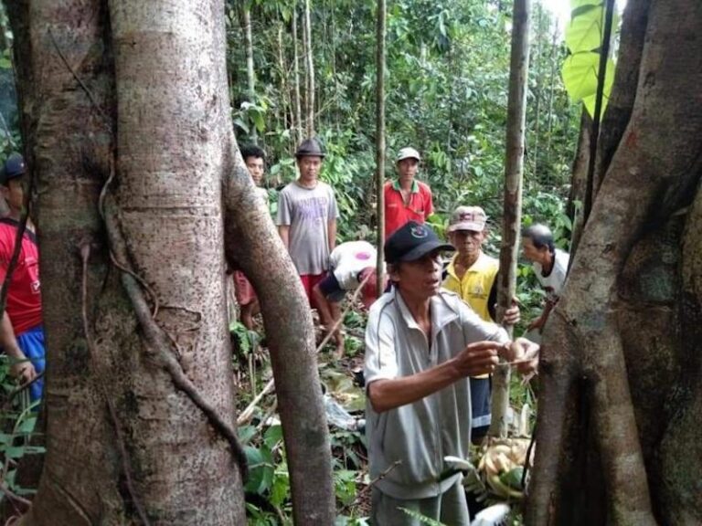 fb-img-1597771325978-5f4438e1d541df54e44c40f3